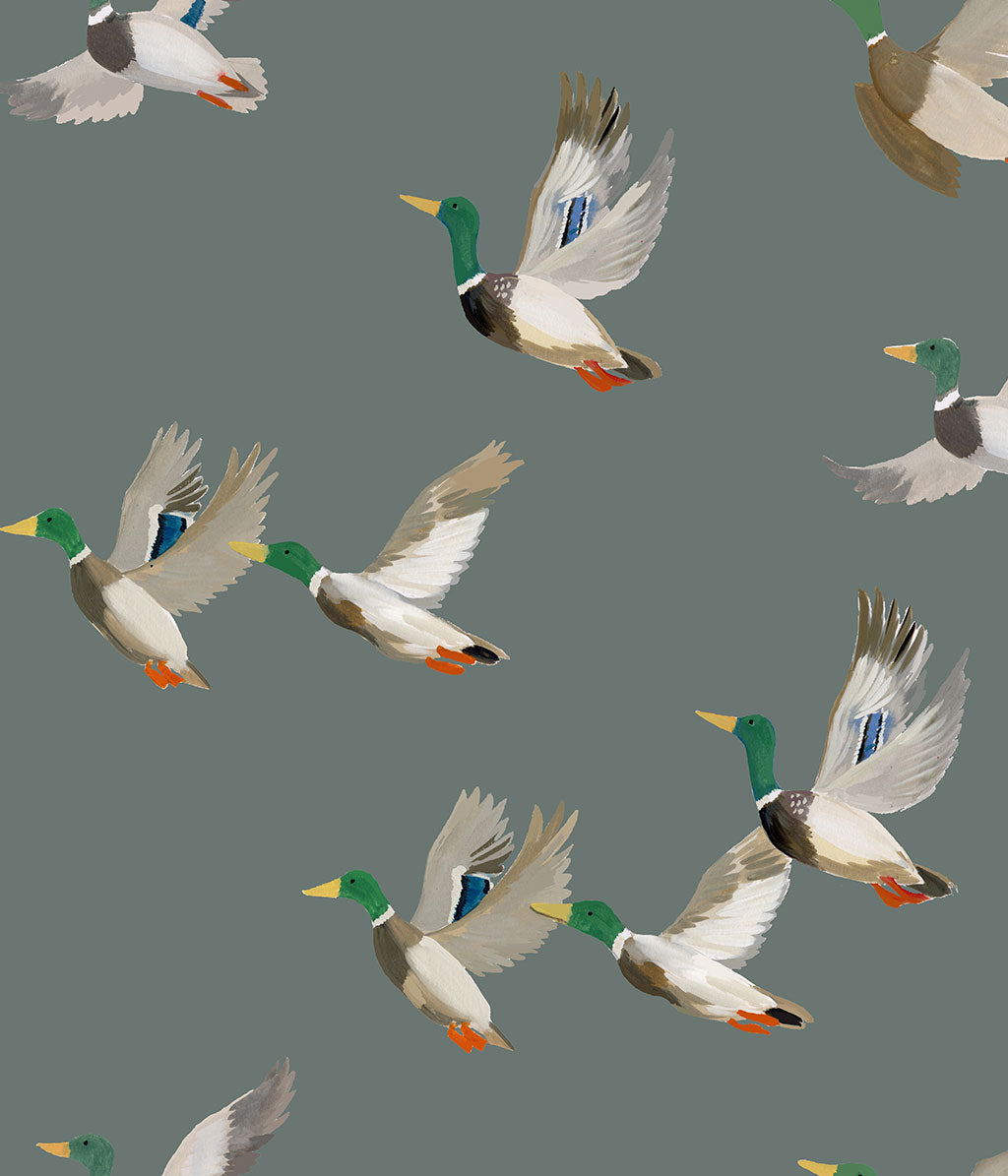 Mallard Wallpaper Mural