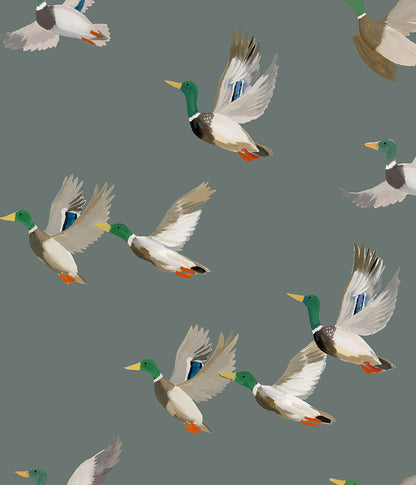 Mallard Wallpaper Mural